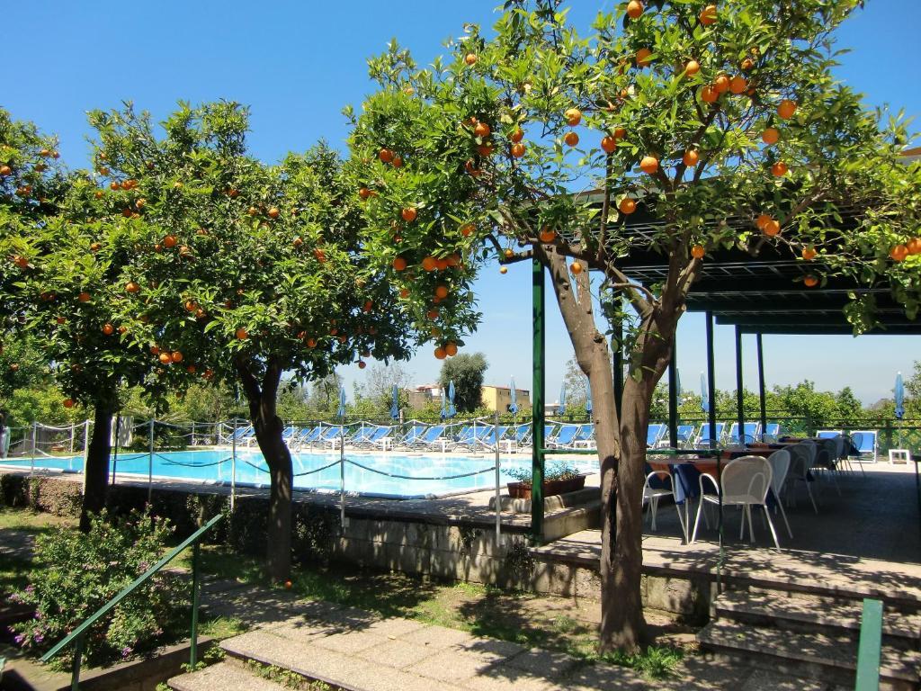 Hotel Girasole Sorrento Bagian luar foto